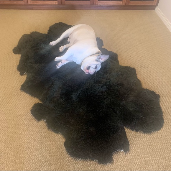 ✨Authentic AUSKIN LAMBSKIN/WOOL area rug by Woolmark Interiors✨ - Picture 4 of 14